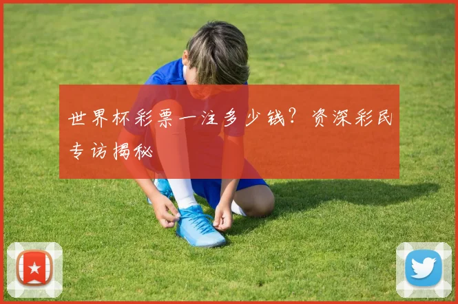 世界杯彩票一注多少钱?资深彩民专访揭秘