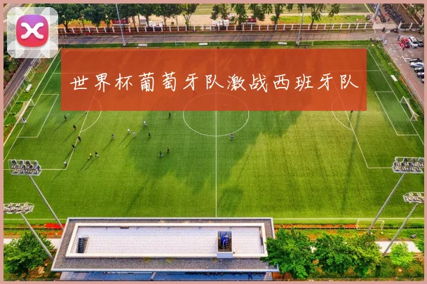 世界杯葡萄牙队激战西班牙队