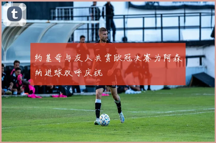约基奇与友人共赏欧冠决赛为阿森纳进球欢呼庆祝