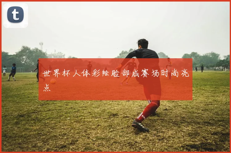 世界杯人体彩绘脸部成赛场时尚亮点
