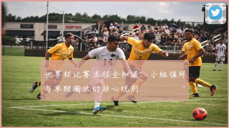 世界杯比赛流程全知道:小组循环与单败淘汰的核心规则