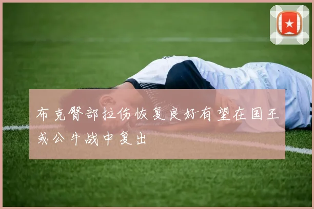 布克臀部拉伤恢复良好有望在国王或公牛战中复出
