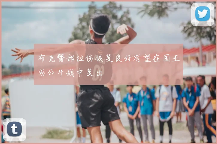布克臀部拉伤恢复良好有望在国王或公牛战中复出