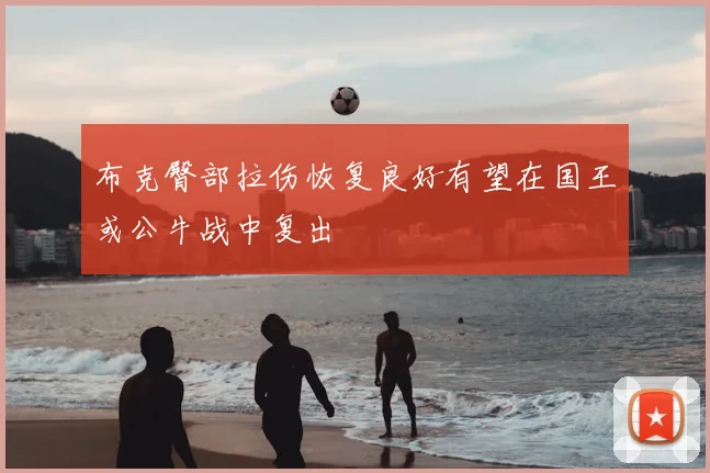 布克臀部拉伤恢复良好有望在国王或公牛战中复出