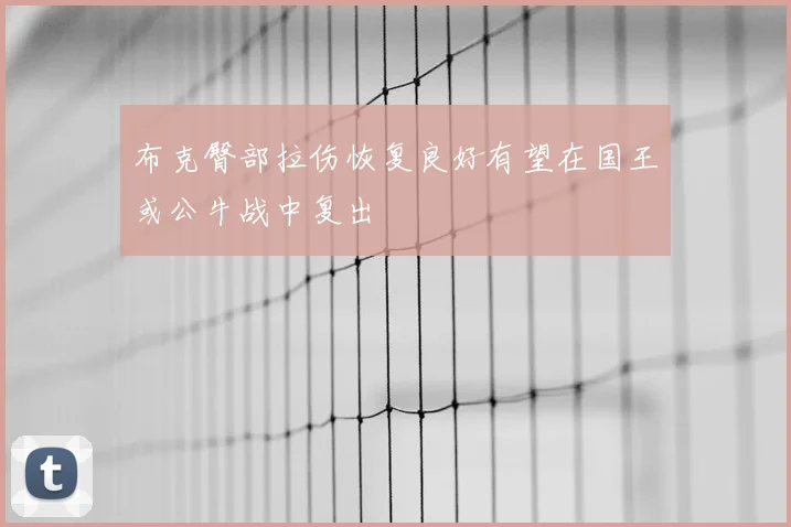 布克臀部拉伤恢复良好有望在国王或公牛战中复出
