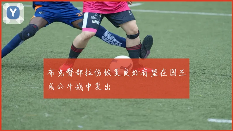 布克臀部拉伤恢复良好有望在国王或公牛战中复出