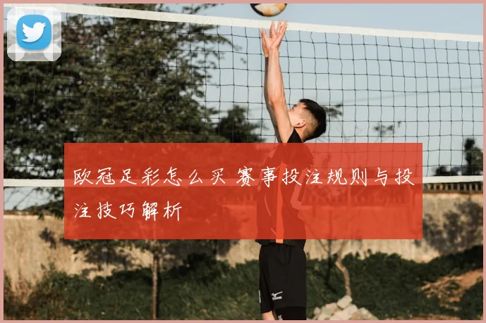 欧冠足彩怎么买 赛事投注规则与投注技巧解析