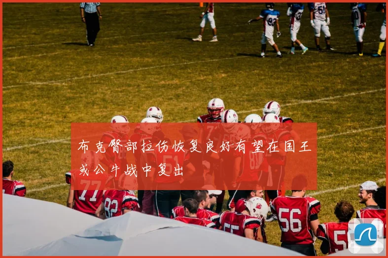 布克臀部拉伤恢复良好有望在国王或公牛战中复出