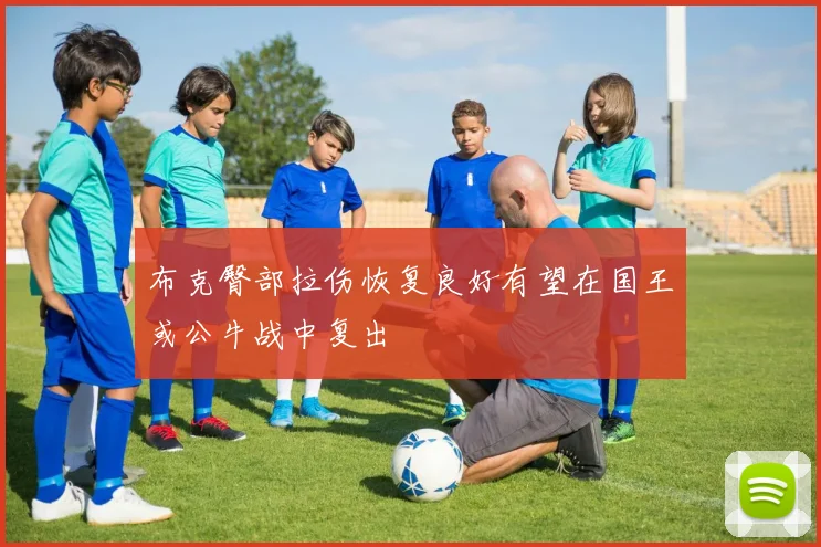 布克臀部拉伤恢复良好有望在国王或公牛战中复出