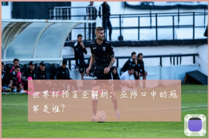 世界杯预言全解析:巫师口中的冠军是谁?