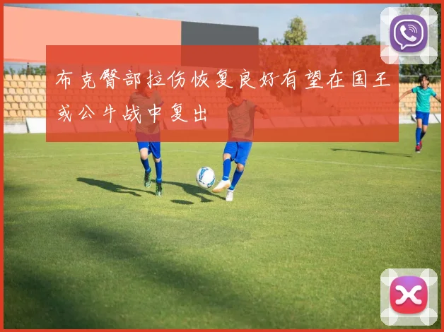 布克臀部拉伤恢复良好有望在国王或公牛战中复出