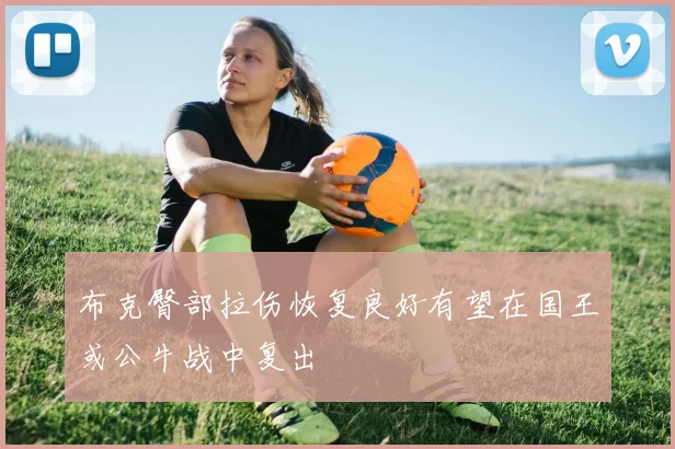 布克臀部拉伤恢复良好有望在国王或公牛战中复出