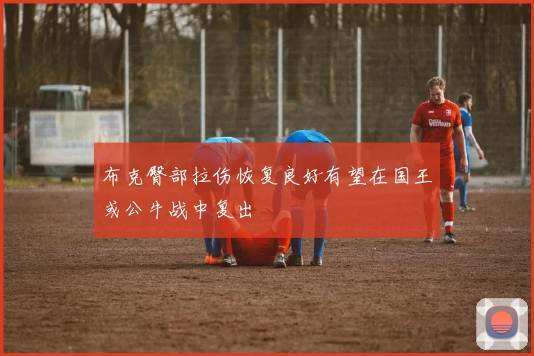 布克臀部拉伤恢复良好有望在国王或公牛战中复出