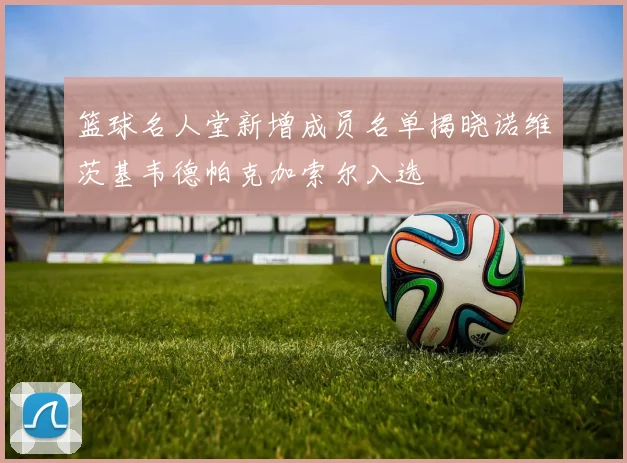 篮球名人堂新增成员名单揭晓诺维茨基韦德帕克加索尔入选