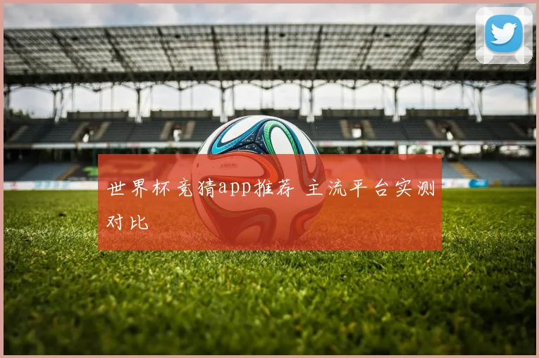 世界杯竞猜app推荐 主流平台实测对比