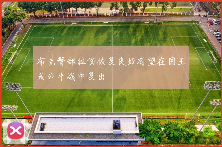 布克臀部拉伤恢复良好有望在国王或公牛战中复出