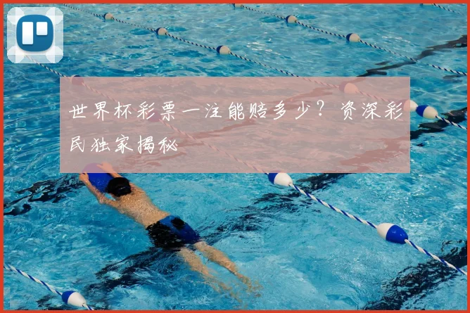 世界杯彩票一注能赔多少?资深彩民独家揭秘