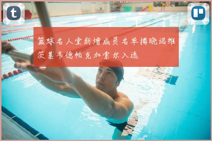 篮球名人堂新增成员名单揭晓诺维茨基韦德帕克加索尔入选