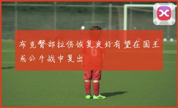 布克臀部拉伤恢复良好有望在国王或公牛战中复出