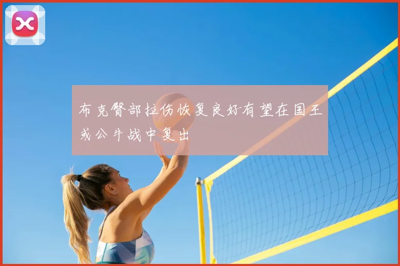 布克臀部拉伤恢复良好有望在国王或公牛战中复出