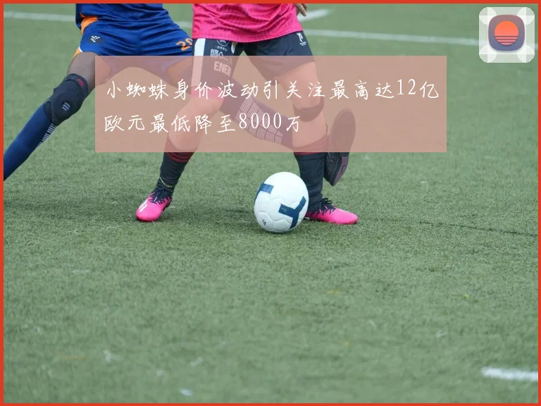 小蜘蛛身价波动引关注最高达12亿欧元最低降至8000万