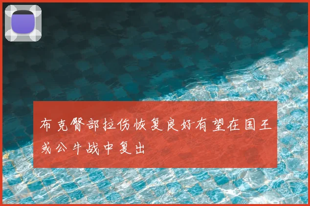 布克臀部拉伤恢复良好有望在国王或公牛战中复出