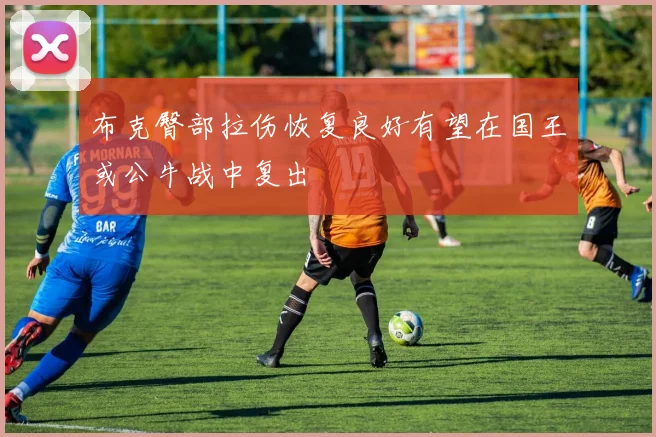 布克臀部拉伤恢复良好有望在国王或公牛战中复出