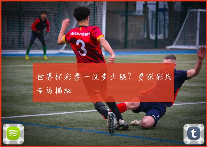 世界杯彩票一注多少钱？资深彩民专访揭秘
