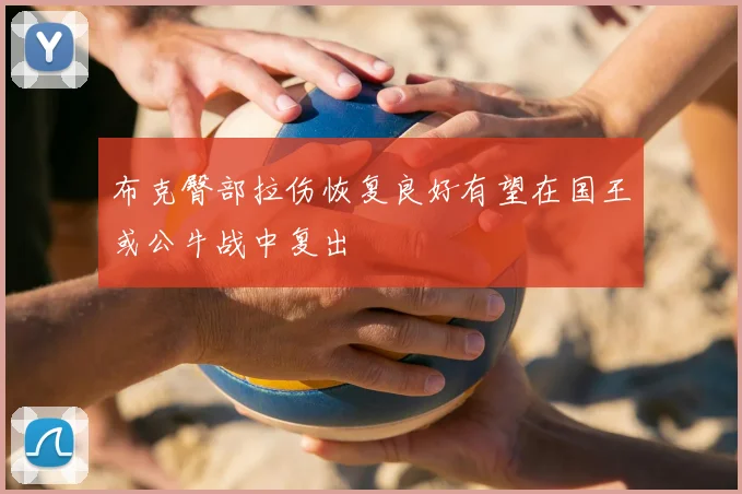 布克臀部拉伤恢复良好有望在国王或公牛战中复出