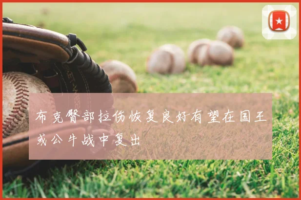 布克臀部拉伤恢复良好有望在国王或公牛战中复出