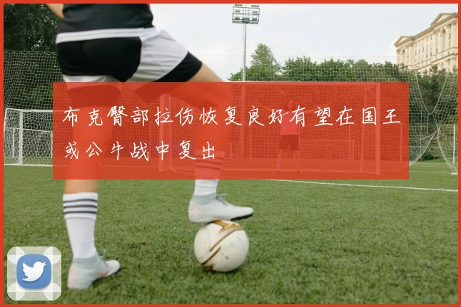 布克臀部拉伤恢复良好有望在国王或公牛战中复出
