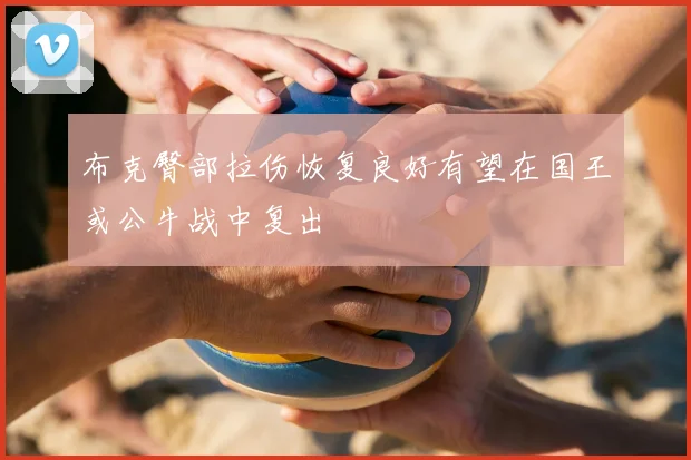 布克臀部拉伤恢复良好有望在国王或公牛战中复出